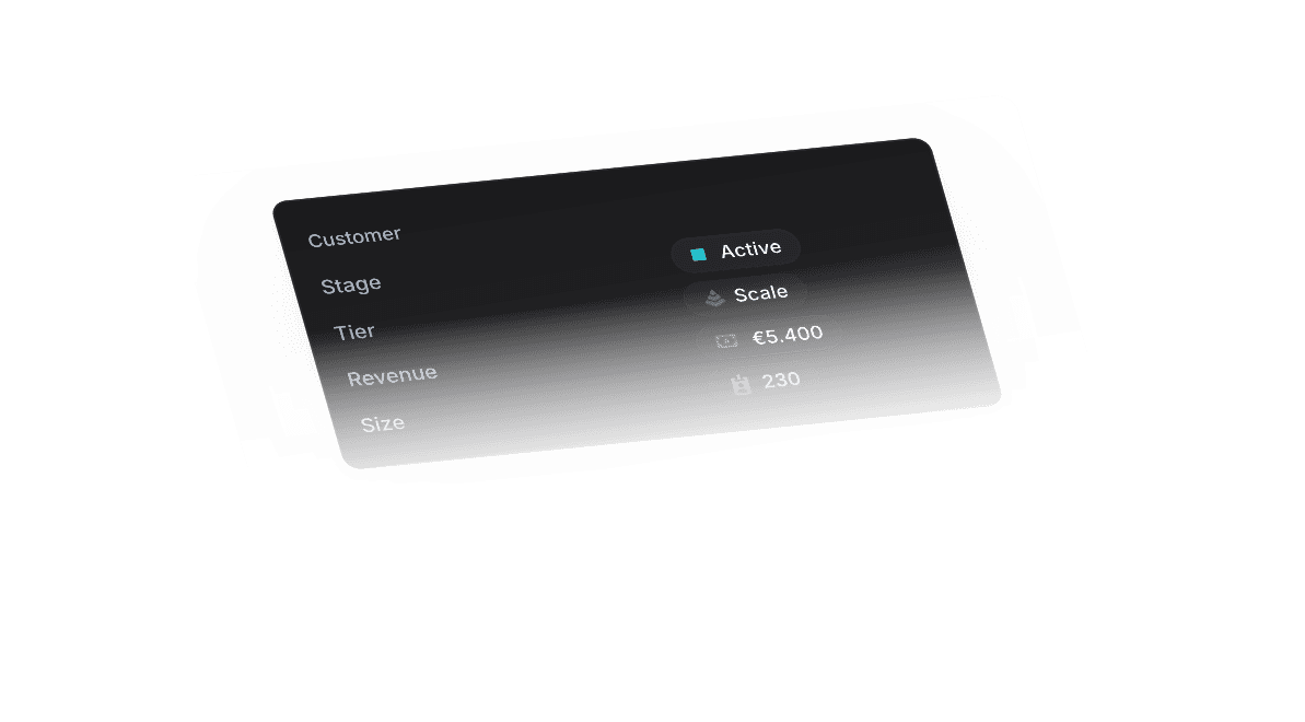 Customer details card showing status, plan, revenue and size